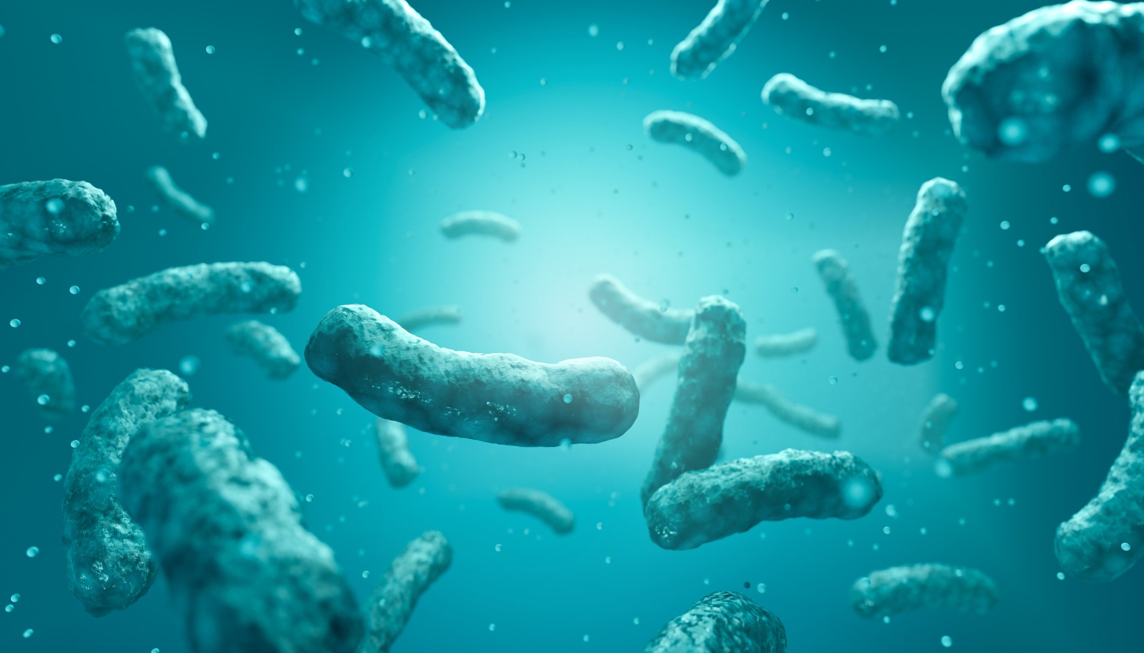 Opportunistic nasal bacteria, microscopy simulation